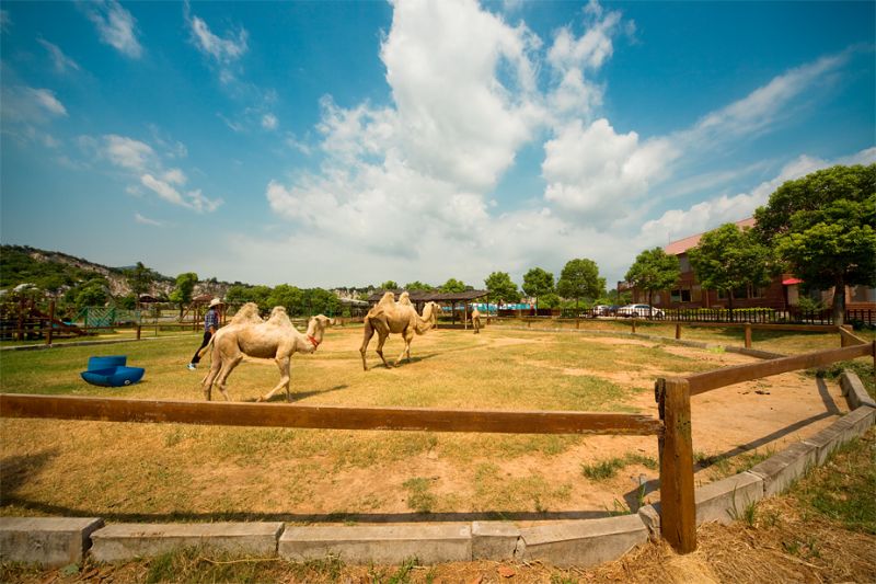 国庆 相约苏州西山岛牛仔风情度假村 休闲自驾两日游