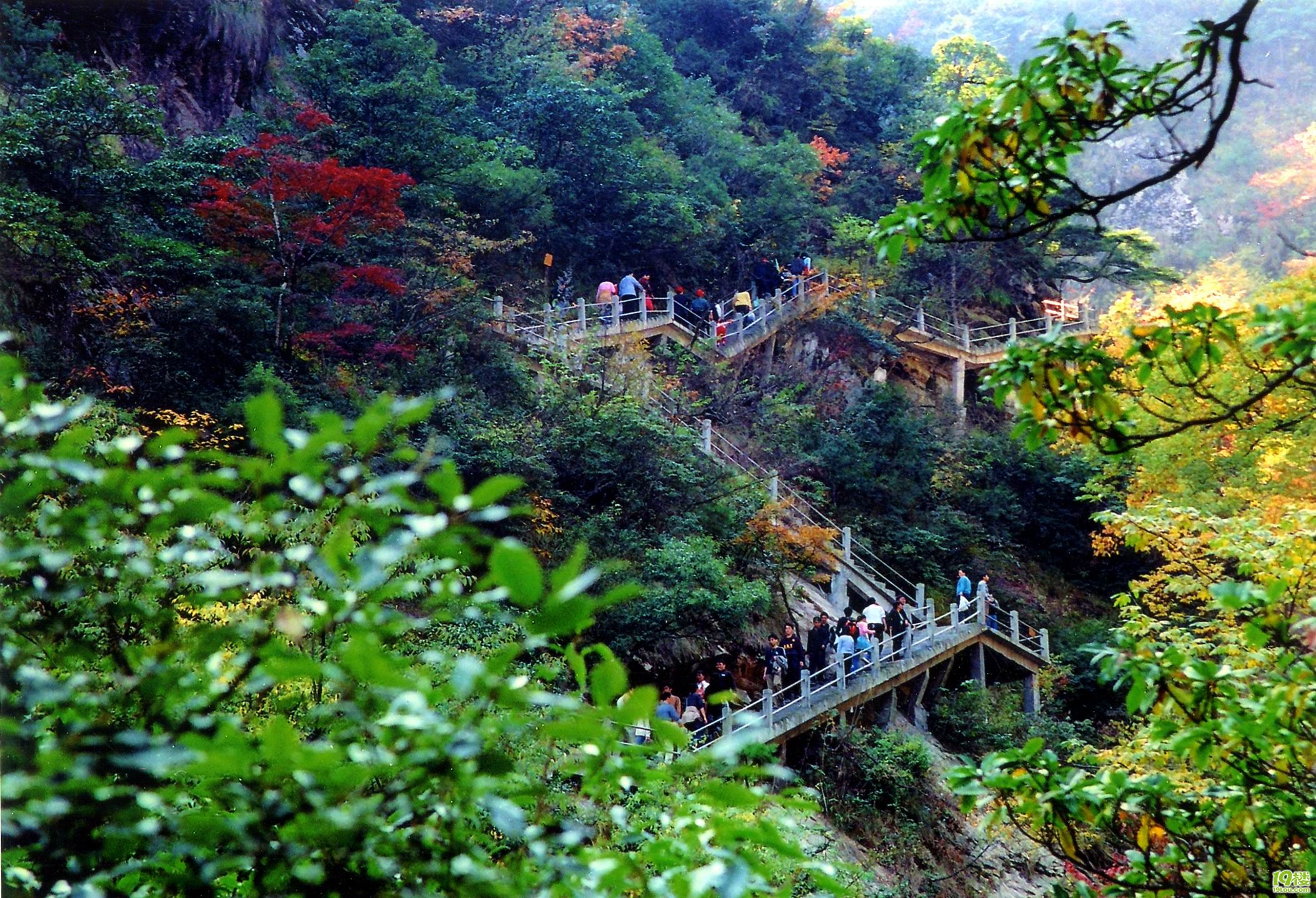 大杭州旅游-杭州19楼