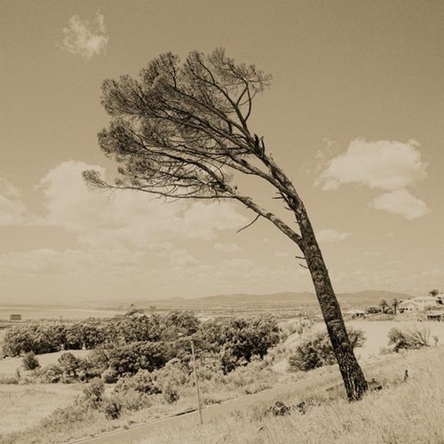 那是风儿在歌唱