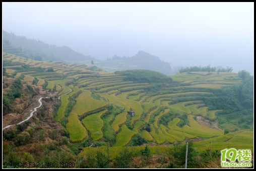 亲子游不错的线路--云和，遂昌