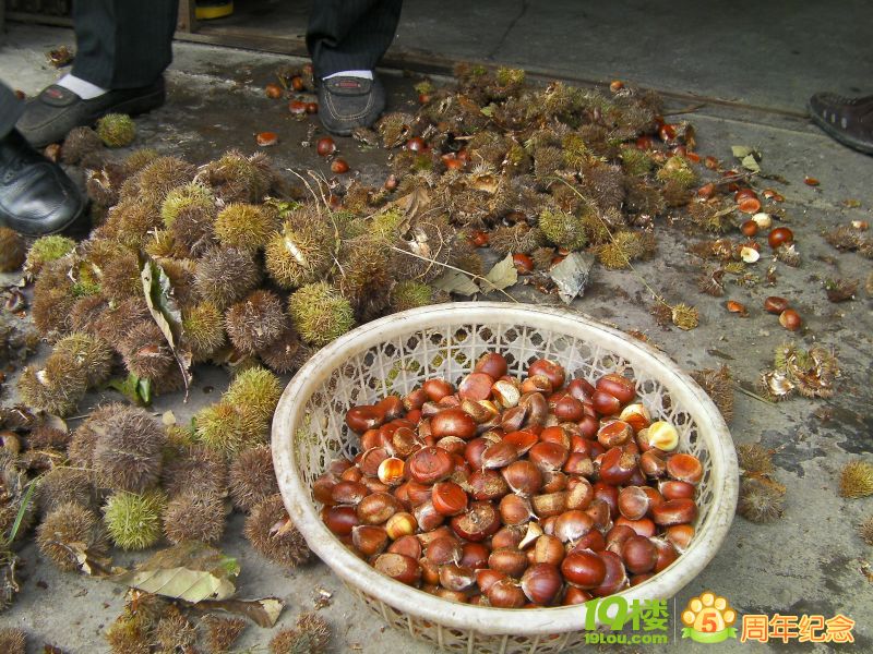 SANY0056.JPG