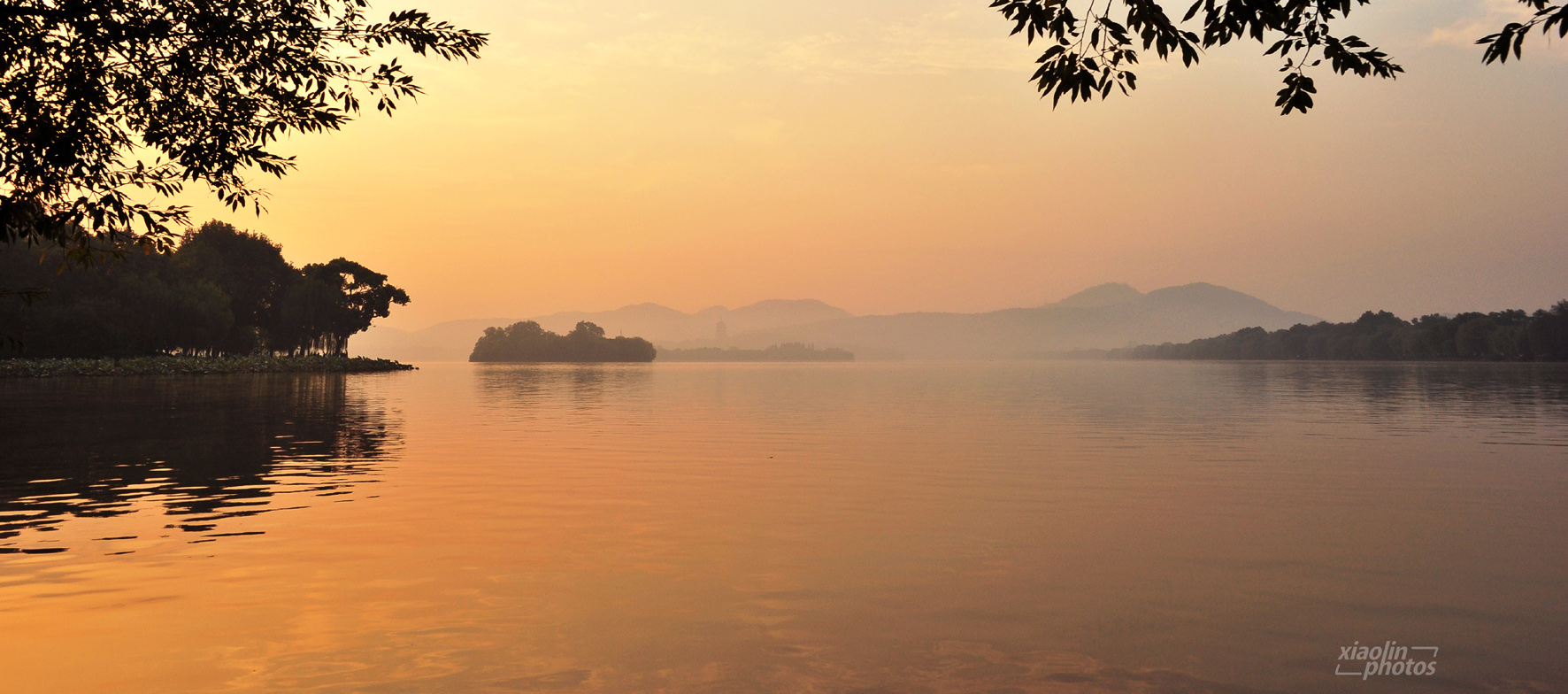 西湖边某个不起眼角落!某个摄影爱好者抓拍的照片!