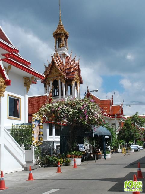 泰瑰丽·洪水泛滥时期冒险探访曼谷·清迈·p