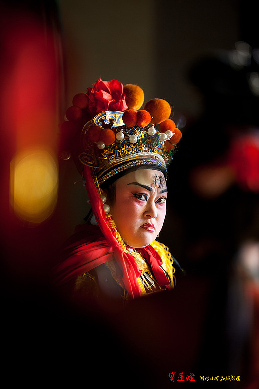 村里来了湖州小百花越剧团