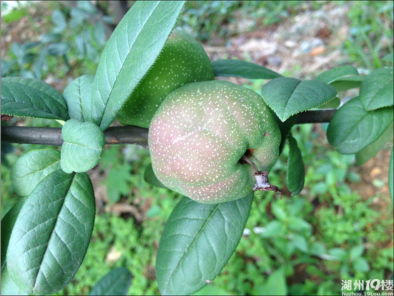 【每日签到】这里报到一下比每天打卡赚得多多了