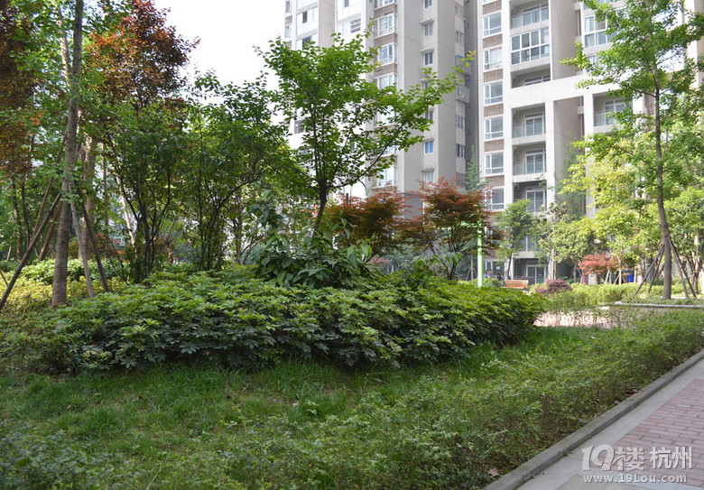 ※※锱铢必较，尽量不靠卖血打造70平小两房，附装修清单※※