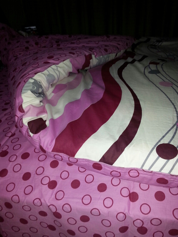 【随手拍】晒被窝 猜身份!