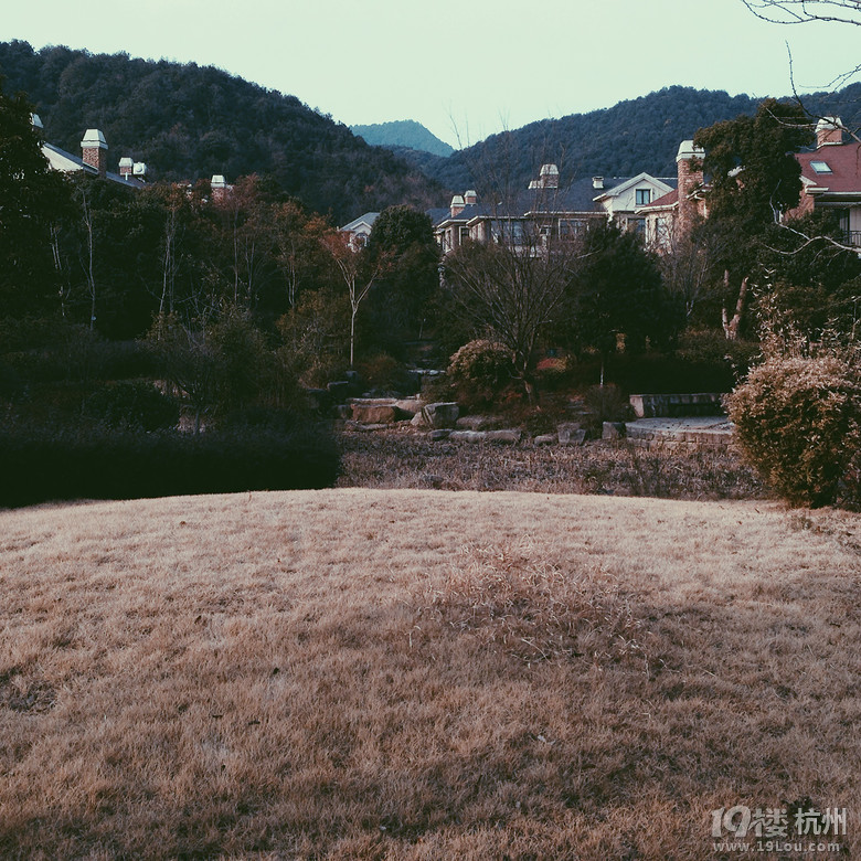 復古 · 懷舊