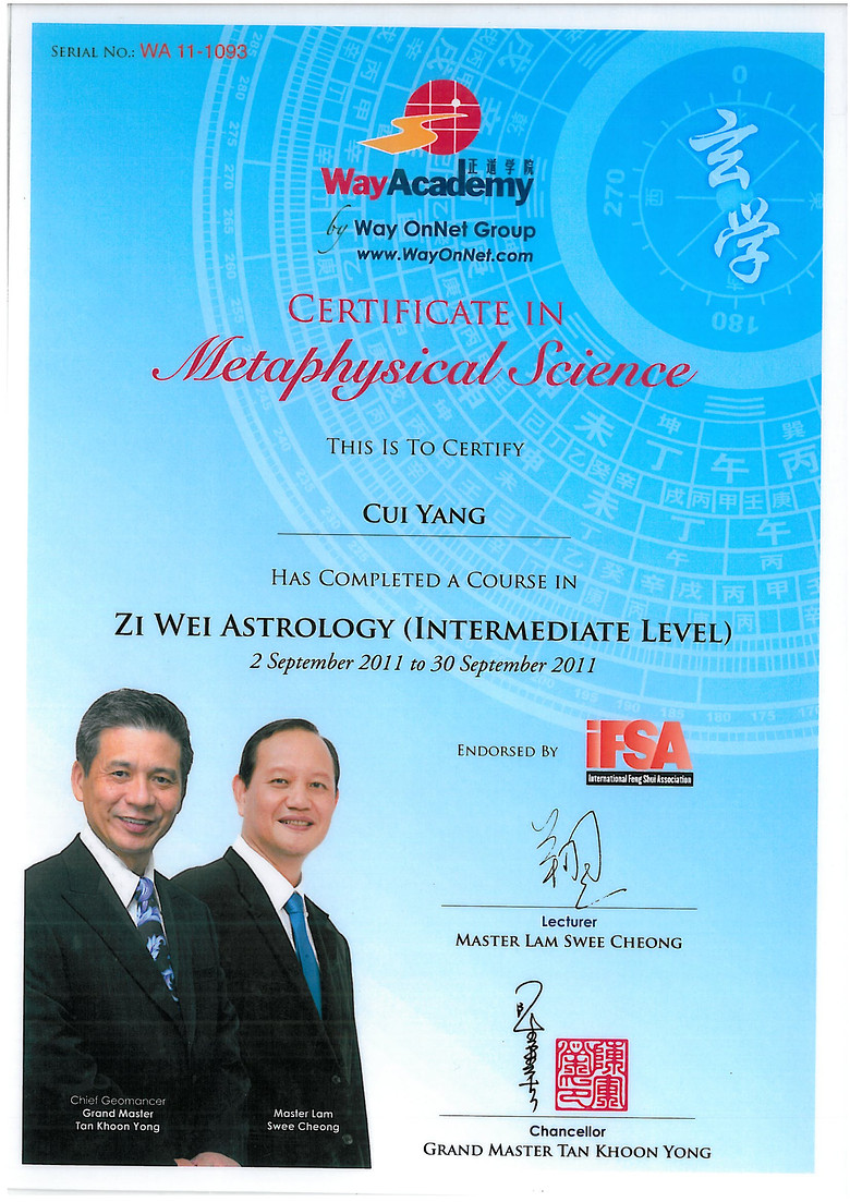 IFSA䷢֤飨ף.jpg