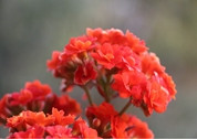 middle_640x427-214556_v2_16891425044756450_f1940d62a0b52228ba838c038151bfe9_����.jpg