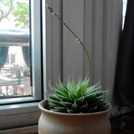 {C9C017D3-7352-4BC2-A8FE-AE30FE9E5554}.jpg