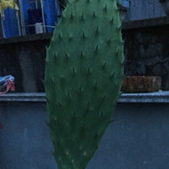 dx11_����.jpg