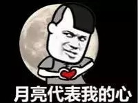 8.webp.jpg