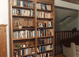 {E912D4D7-ED1A-401D-B862-39696C388262}.gif.jpg