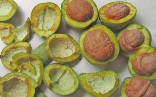 核桃皮的功效与作用 核桃皮有什么妙用