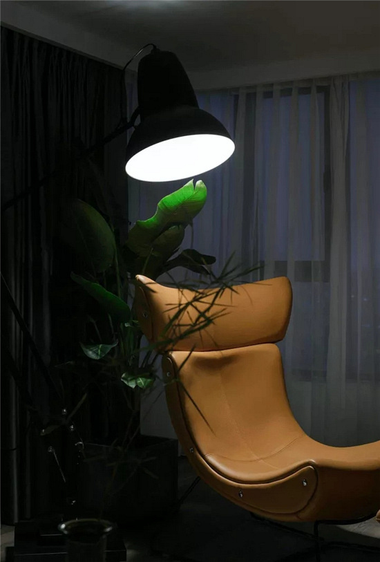 通过重点照明强调家庭环境中的重要信息,而通过较低的照度水平弱化次