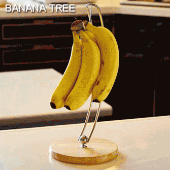 gif.gif