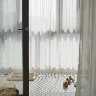gif.gif