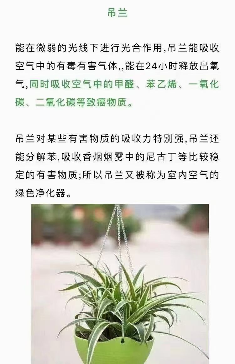 ���м�ȩ��ô������