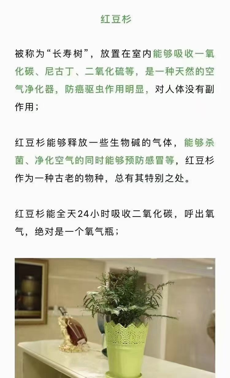 ���м�ȩ��ô������