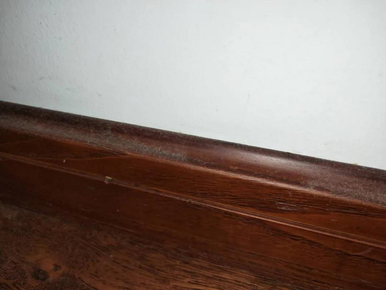 ЩװϸˣӼҸкף˵Ŀ