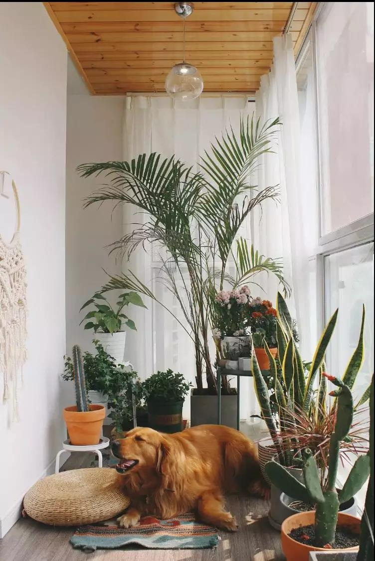 ��̨��С�����о���ã�