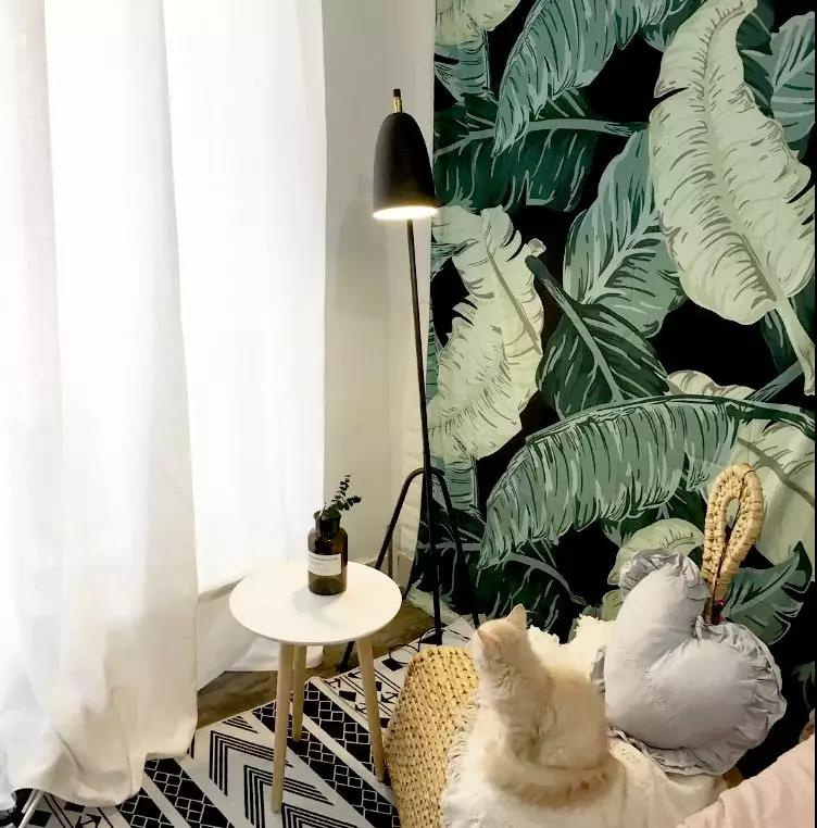 ��̨��С�����о���ã�