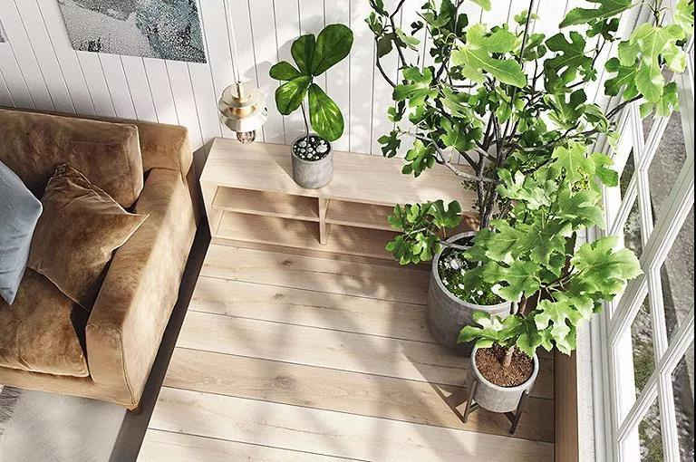 ��̨��С�����о���ã�