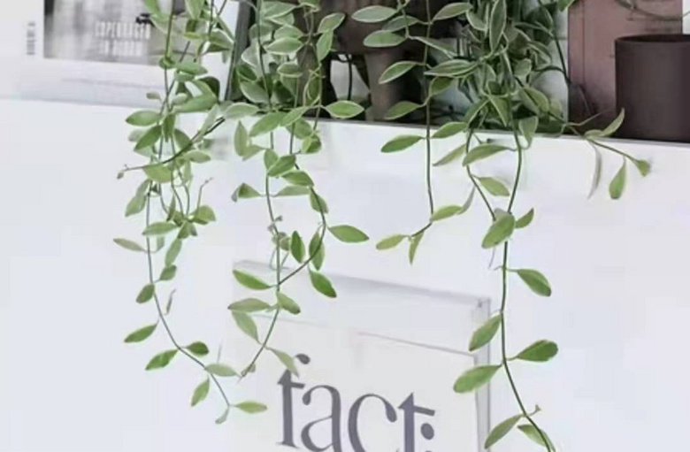 ����װ���䡿����Ҫ��houseҲ����ӵ�������Լ��Ķ���С��԰