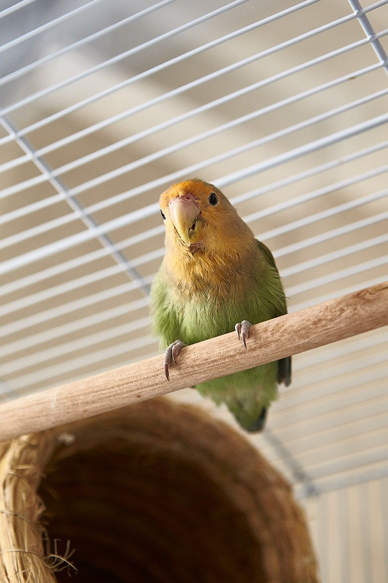 ����װ���䡿����Ҫ��houseҲ����ӵ�������Լ��Ķ���С��԰