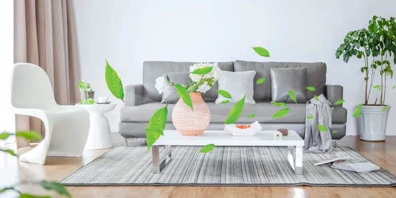 “植”此青绿 | 生态保护步履不停,共同探寻极净之旅!