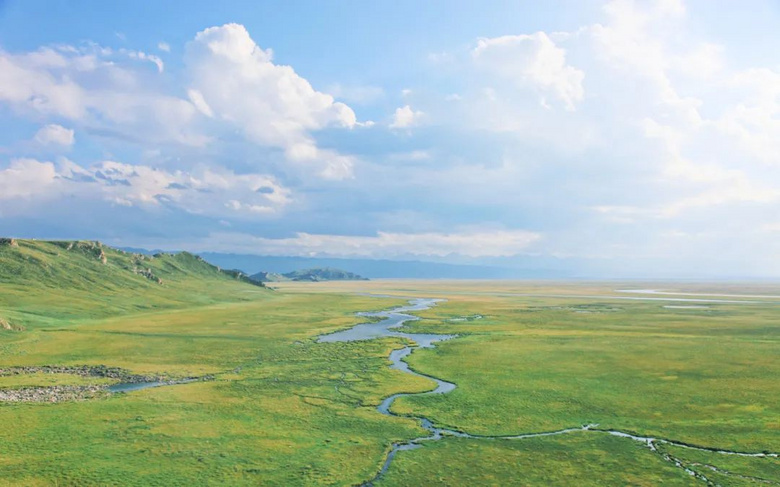 “植”此青绿 | 生态保护步履不停,共同探寻极净之旅!