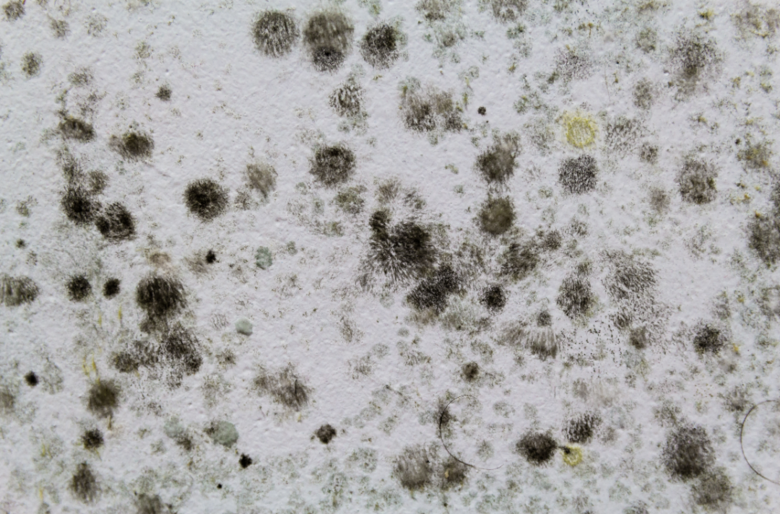 ÷�꼾��ʪ�ؼ�