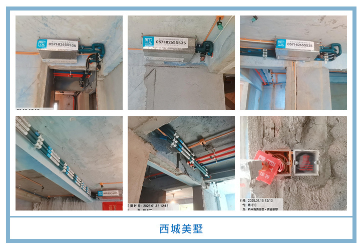 ���㴨������2025��1-2�¹��ذ�װͼƬ