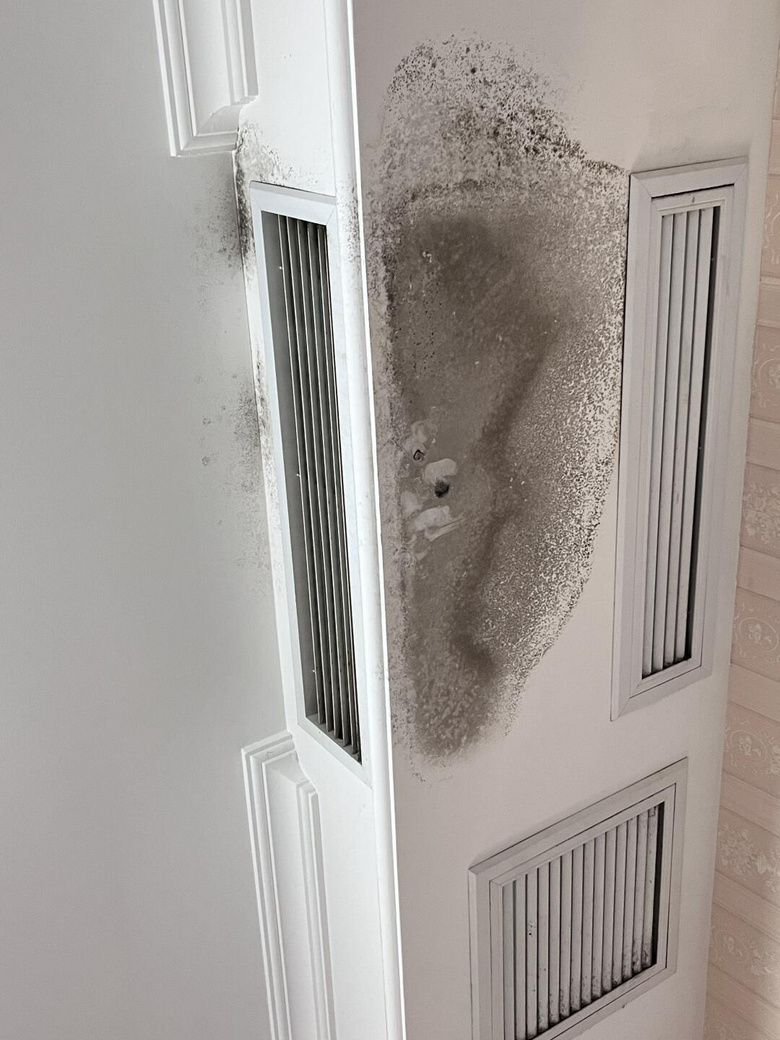 Լ��ˮ��̬����յ����4���������ųɼ�ͥ��һ���Ͳȿӣ�