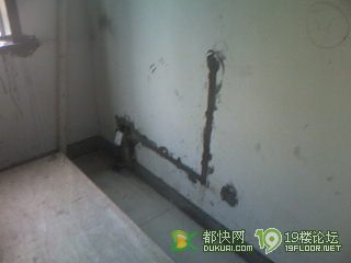 我的装修日记（新增图片4）