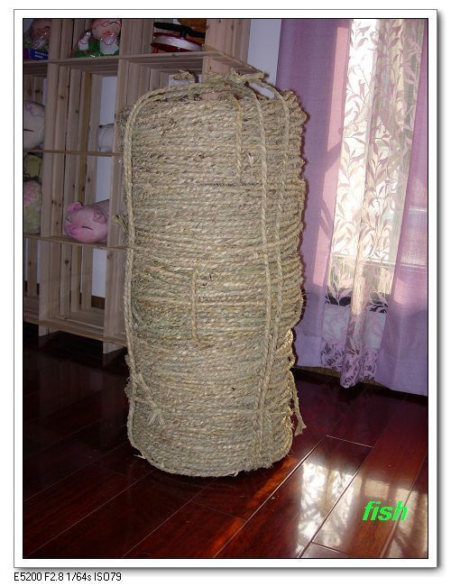 托人从外地买来的