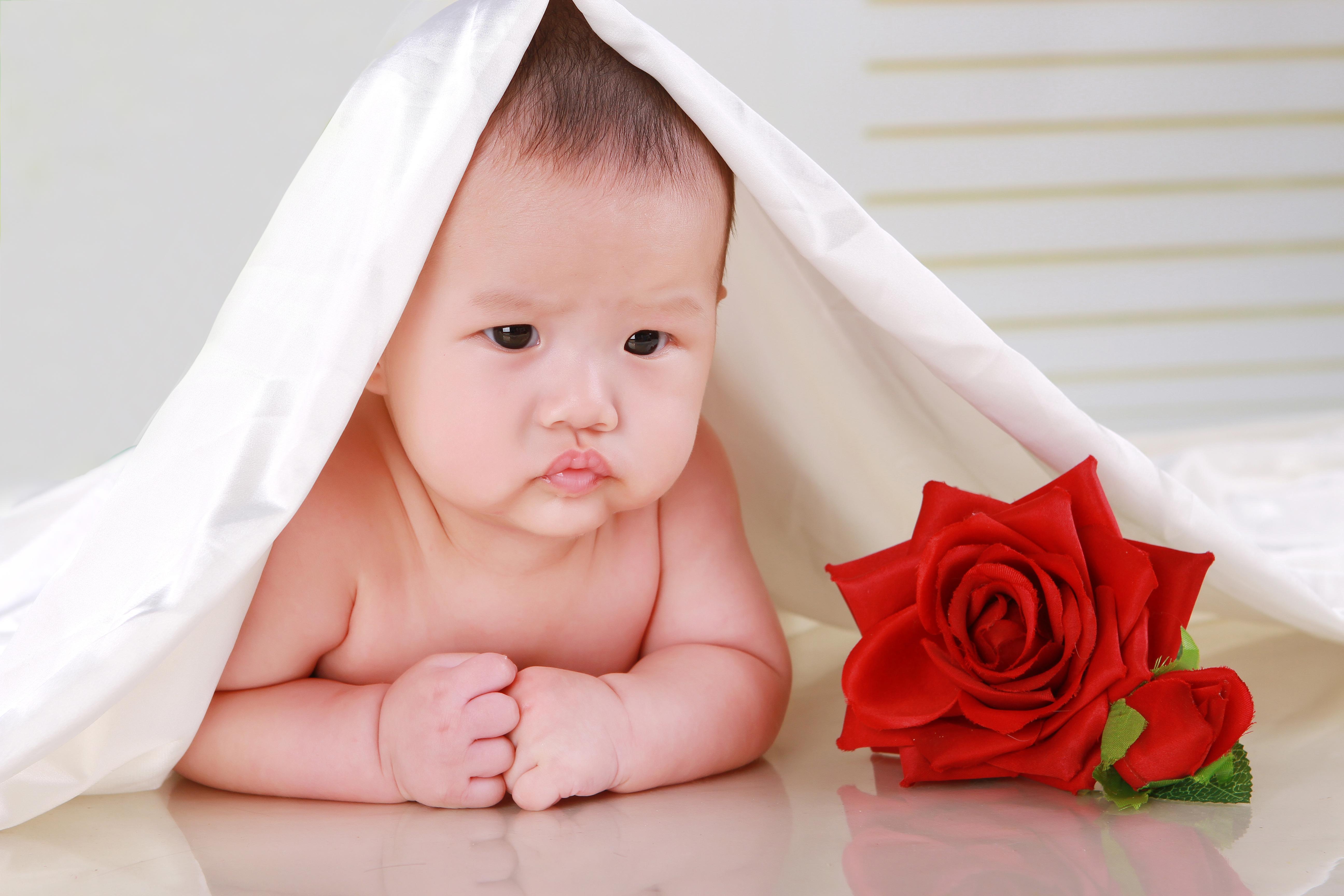 台历宝宝我就是爸妈心里的babystar育儿心得