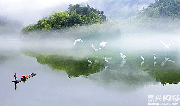 鸬鹚湾桐庐图片