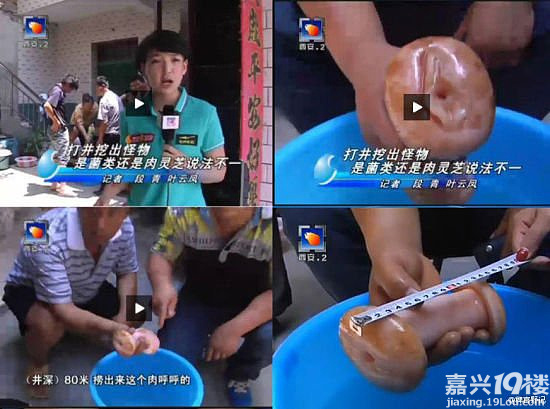 西安女记者误将男用自慰器认作太岁灵芝