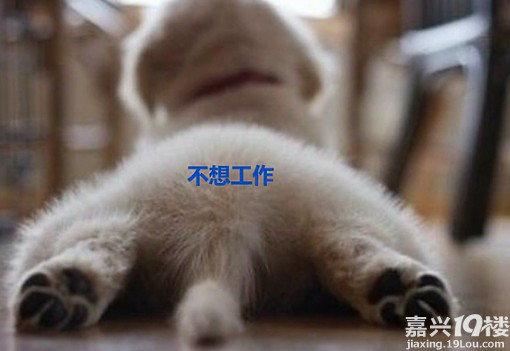 学不进玩不痛快晚上睡不着