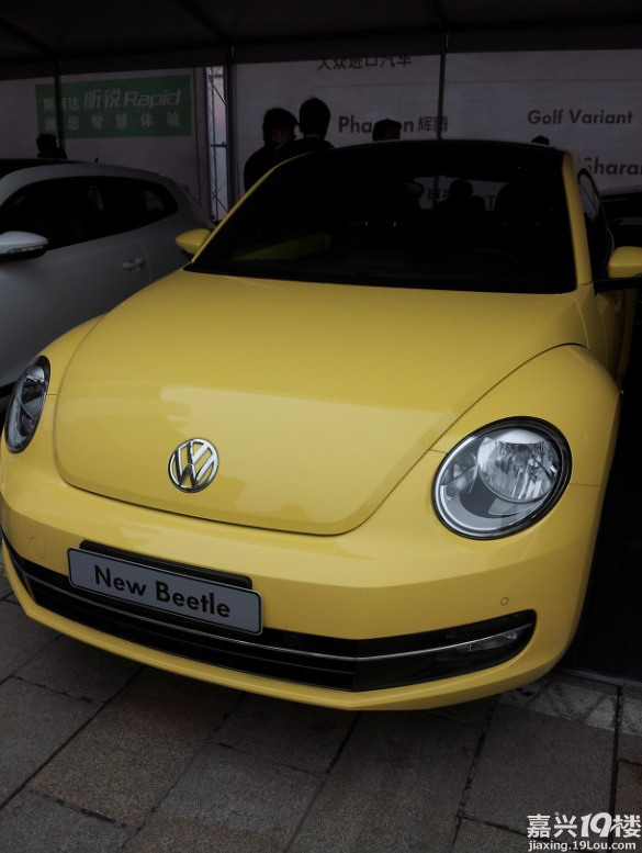 thebeetle新甲壳虫来啦