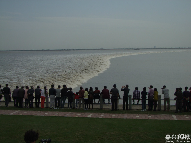 嘉兴周边自驾一日游求推荐-旅游拉风-嘉兴19楼