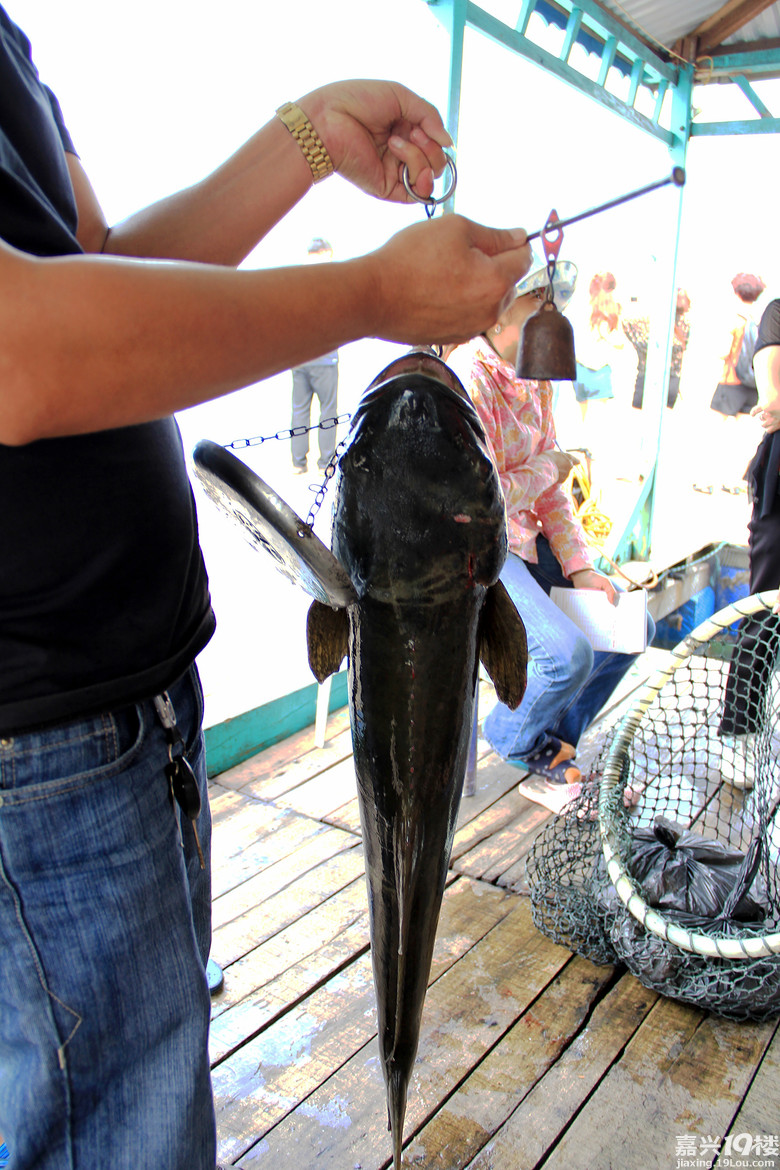 但味道不错,好象是叫大嘴鱼,从没吃过,偿鲜贵点也值了.