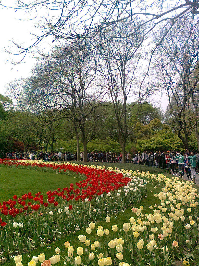 20140406����̫����  (13).jpg