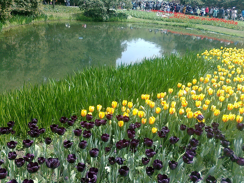 20140406����̫����  (1).jpg