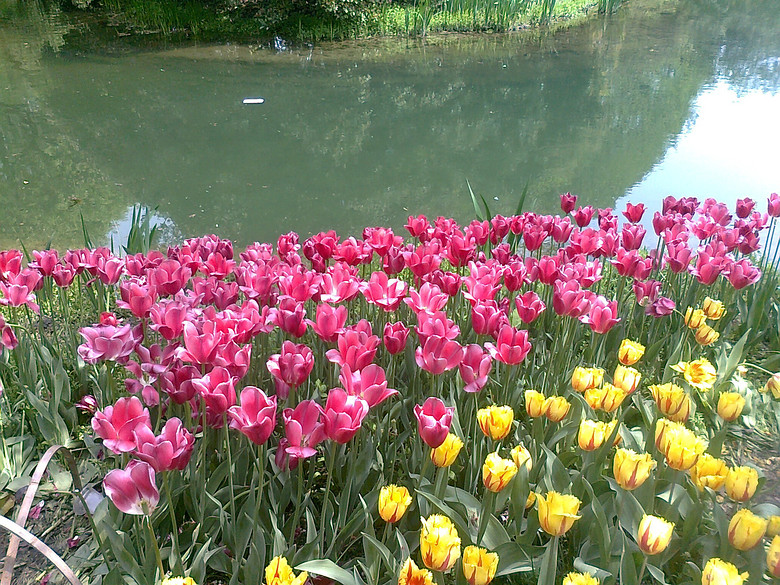 20140406����̫����  (2).jpg