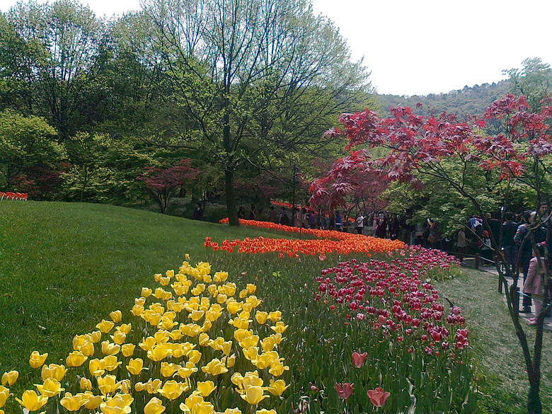 20140406����̫����  (3).jpg