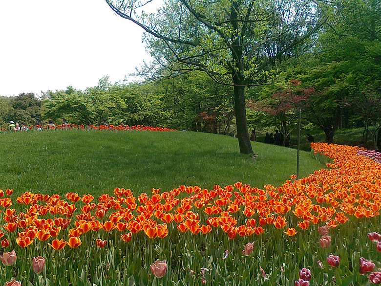 20140406����̫����  (4).jpg