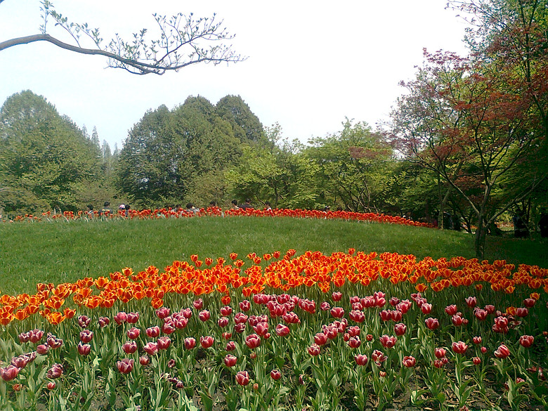 20140406����̫����  (5).jpg